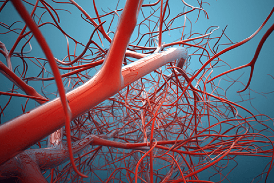 Leading Vascular Care in Jayanagar: Spotlight on Dr. Murali Krishna and Top Hospitals