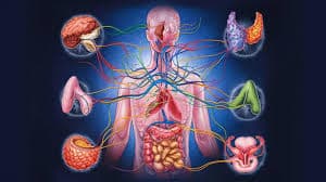 Comprehensive Guide to Endocrinology and Diabetes Care: Why You Need the Best Endocrinology and Diabetology Doctors in Chamrajpet