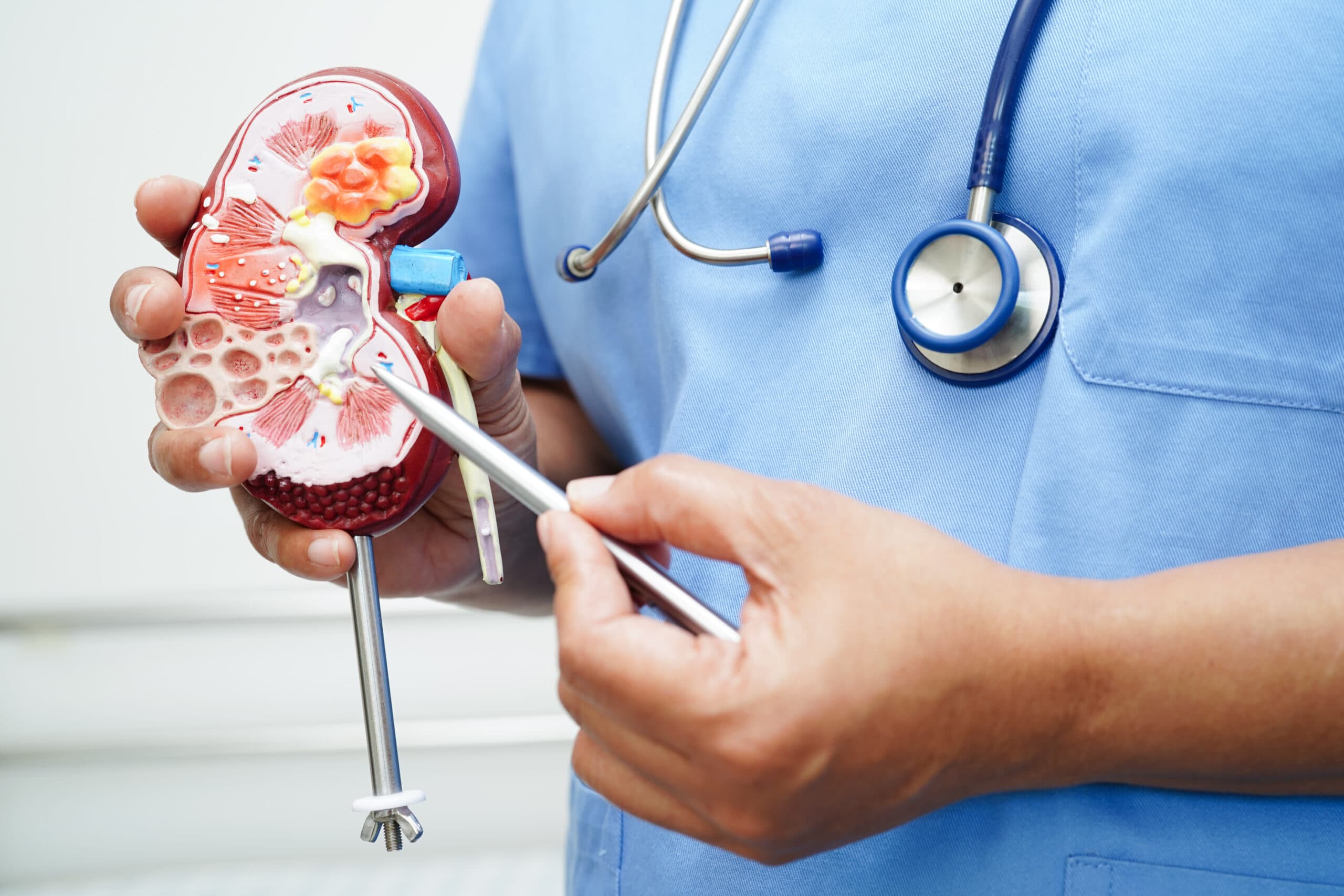 Best Nephrologists in Chamarajpet Bangalore