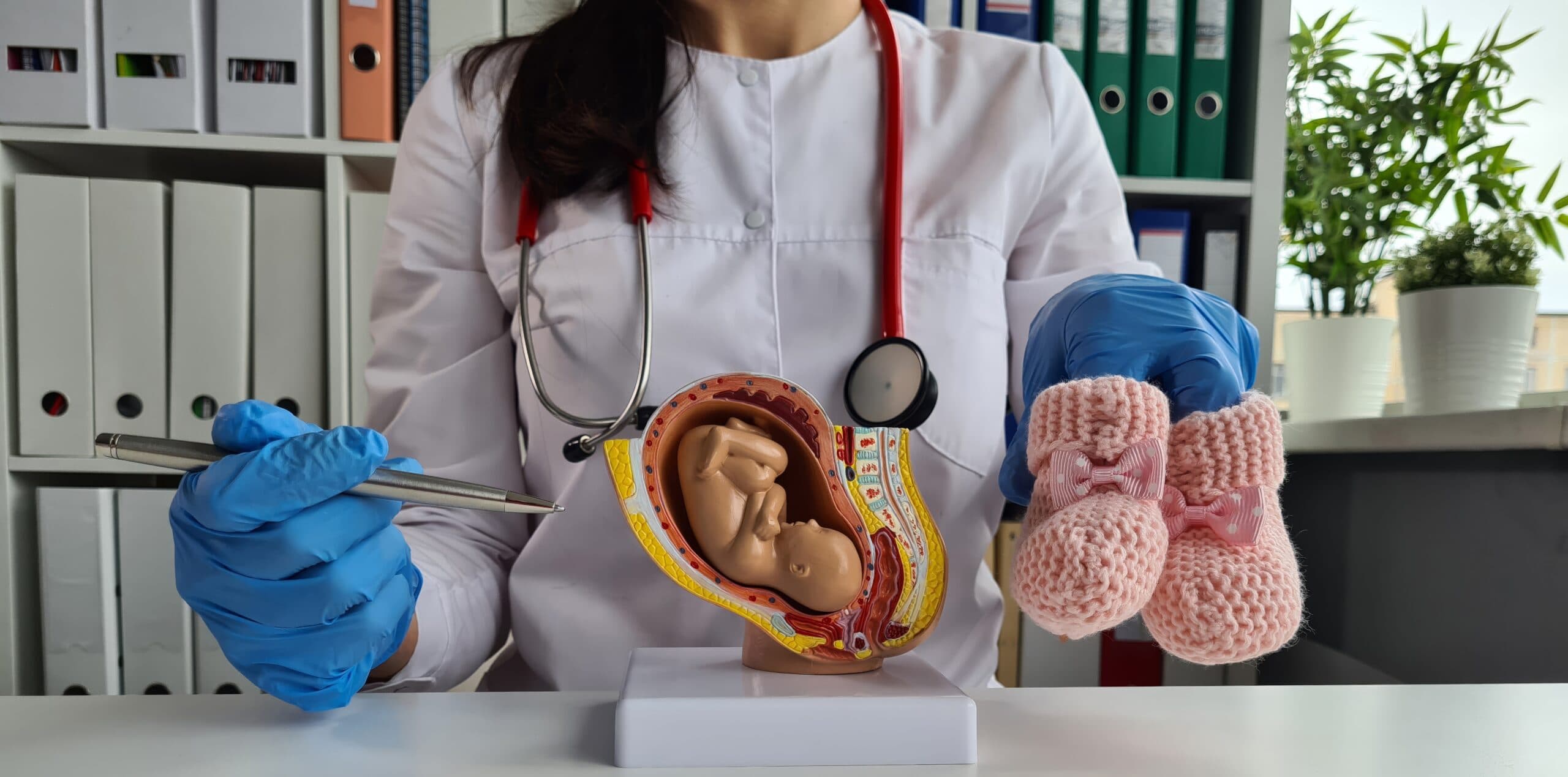 Best Gynaecologist in Jayanagar, Bangalore — Trusted Women’s Care at Brindhavvan Areion Hospital