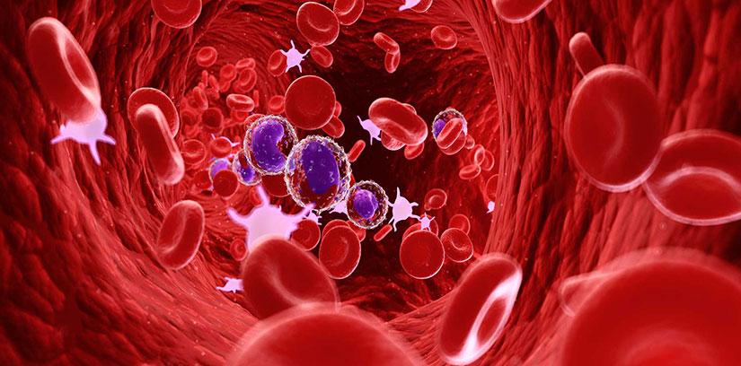 Hematology