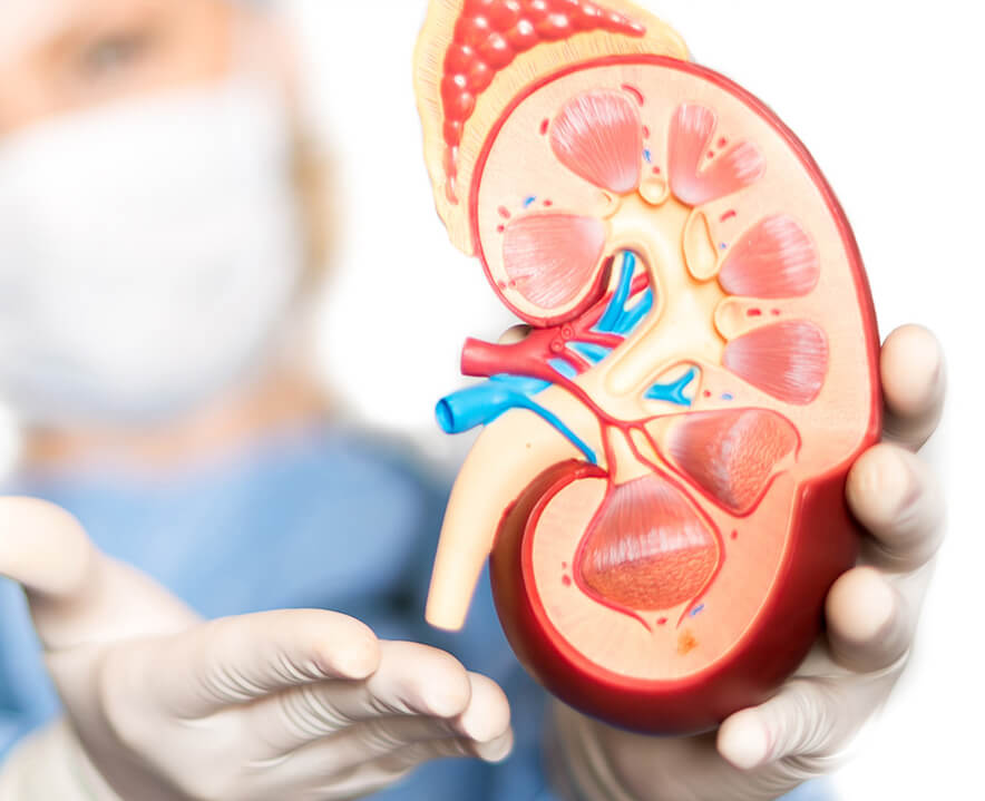 Nephrology