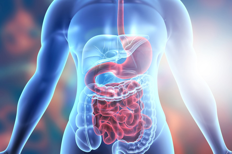 Gastrointestinal Surgery